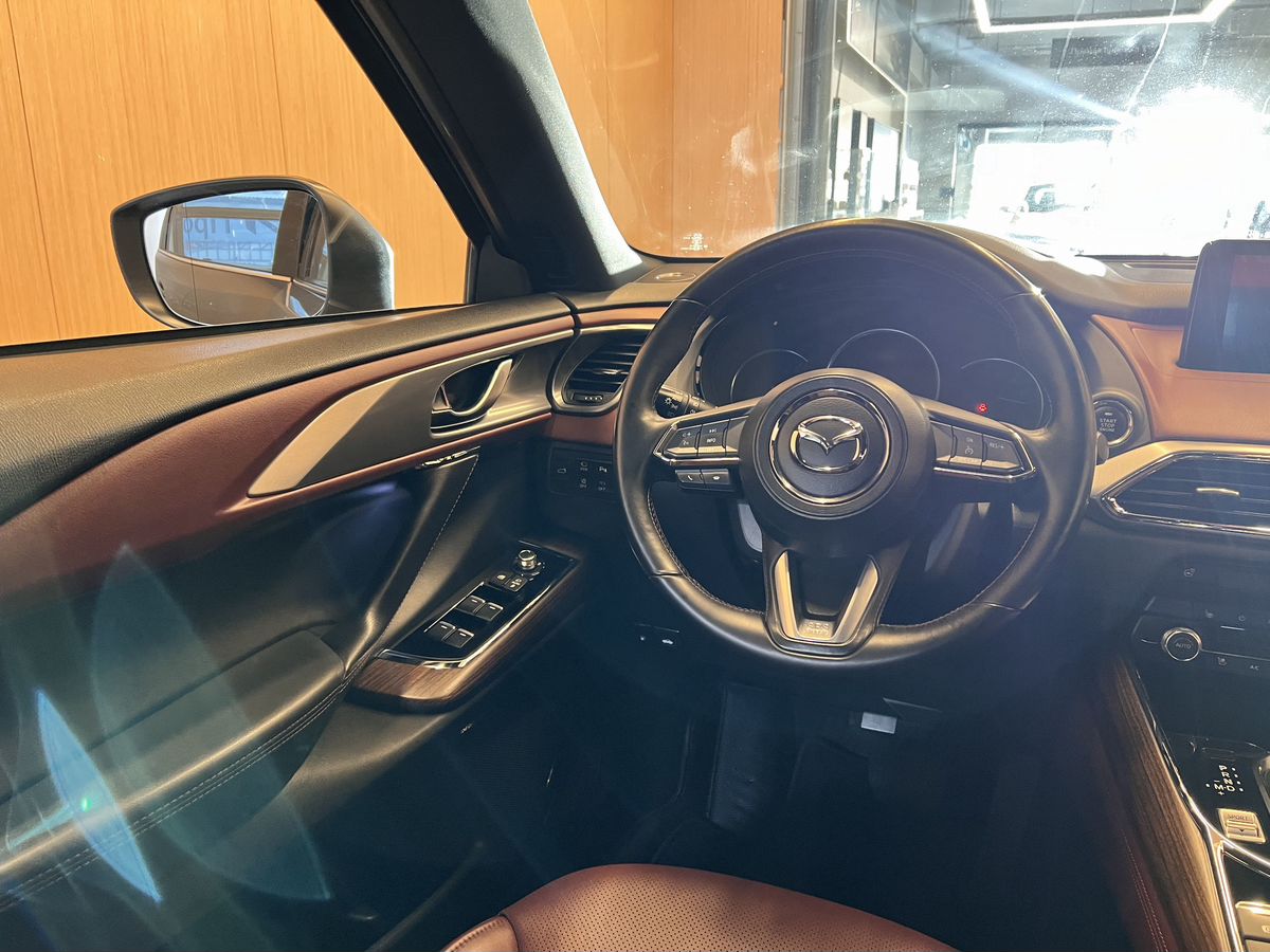 Mazda CX-9 2019 21